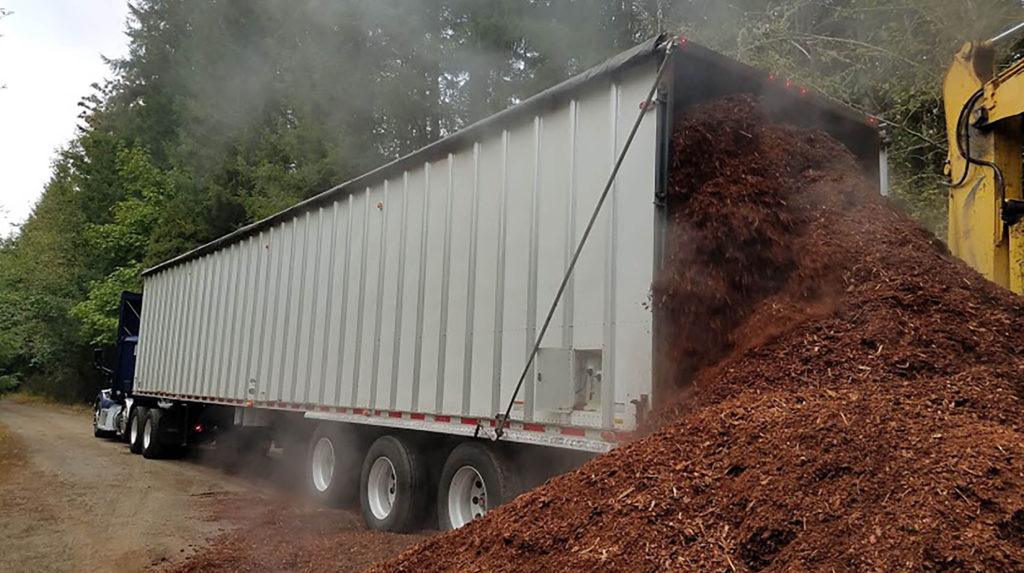 Restoring A Forest Using Wood Chips