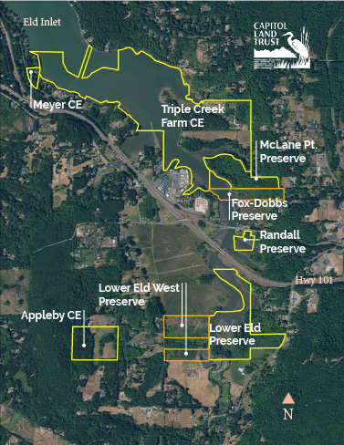 Lower Eld West Preserve and Fox-Dobbs Preserve outlined in orange on a satellite map. Other lands conserved by CLT outlined in yellow.
